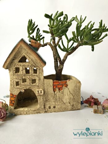 domek na roslinke