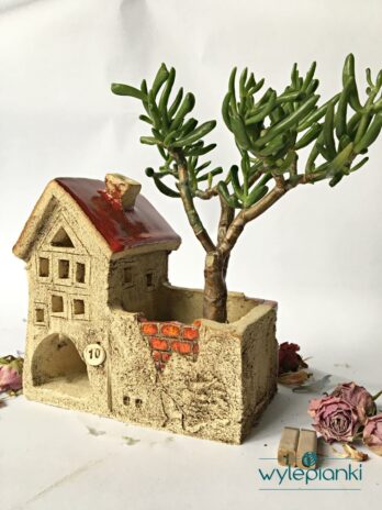 domek na roslinke