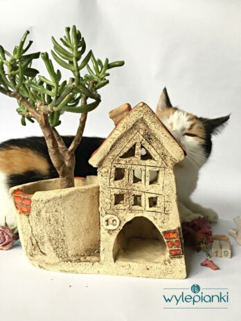 domek na roslinke